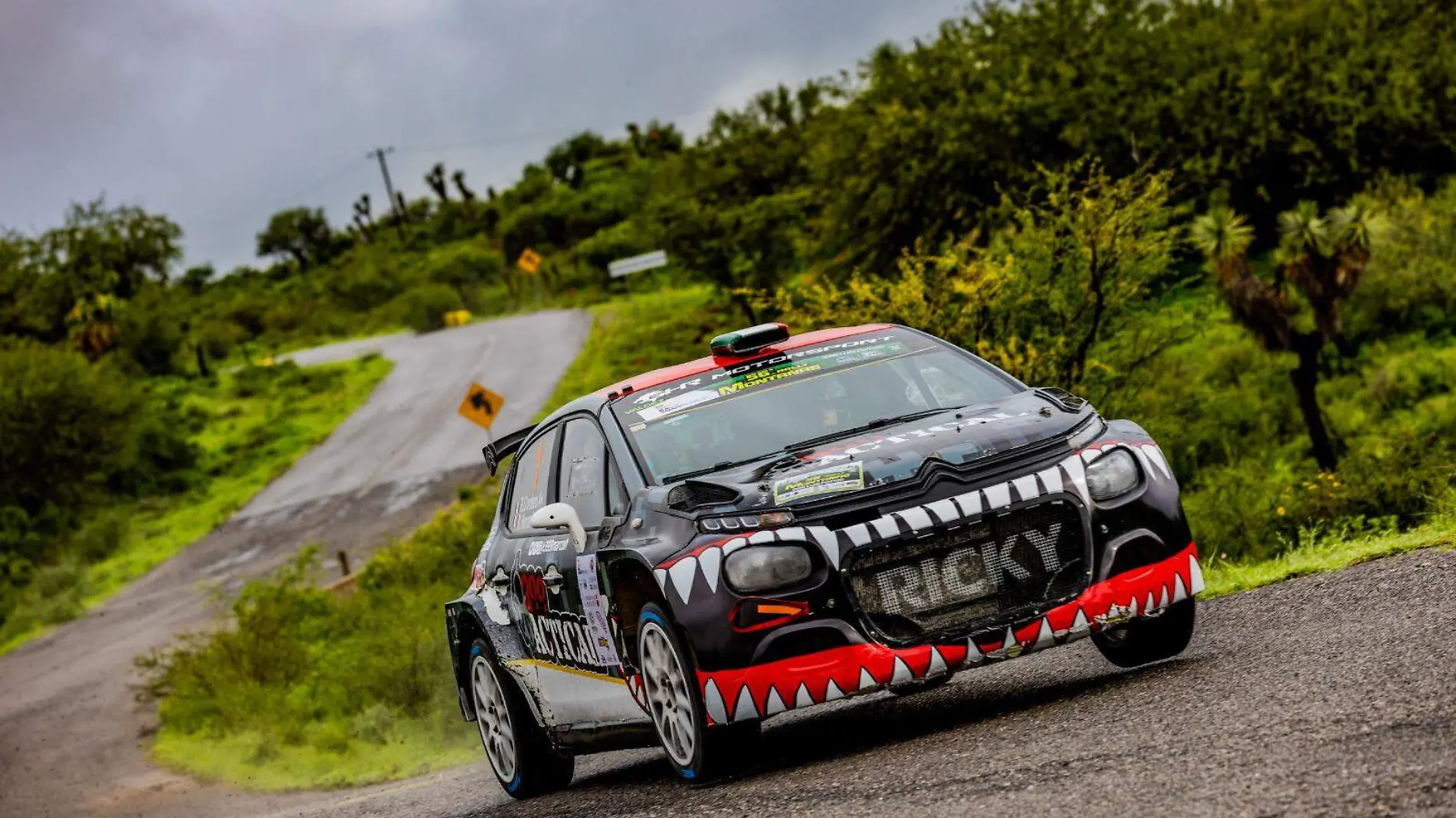 Ricardo Cordero, Rally Montañas